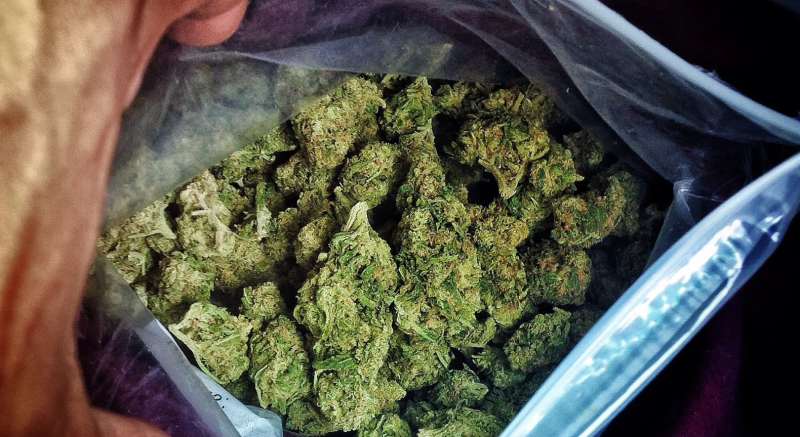 646654c4da781.r_d.790-432