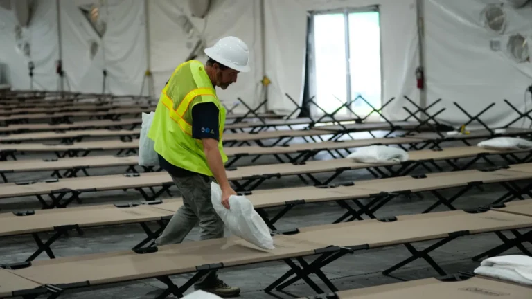 53119245309_75d24ef35f_k-1