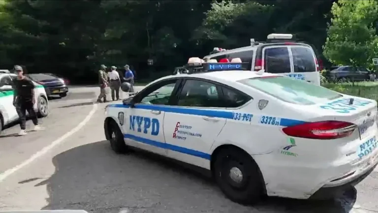 Ataque-en-Central-Parek