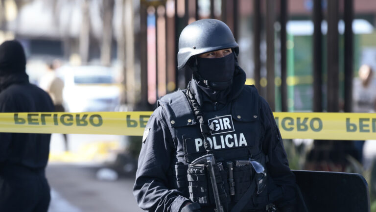 66c3803459bf5b7dd364ea3f