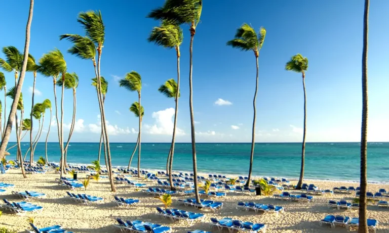 66e78175d3f12_playa-bava.jpg