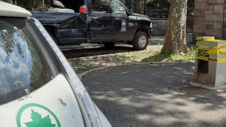 20220827_134155-rotated-e1687236371597