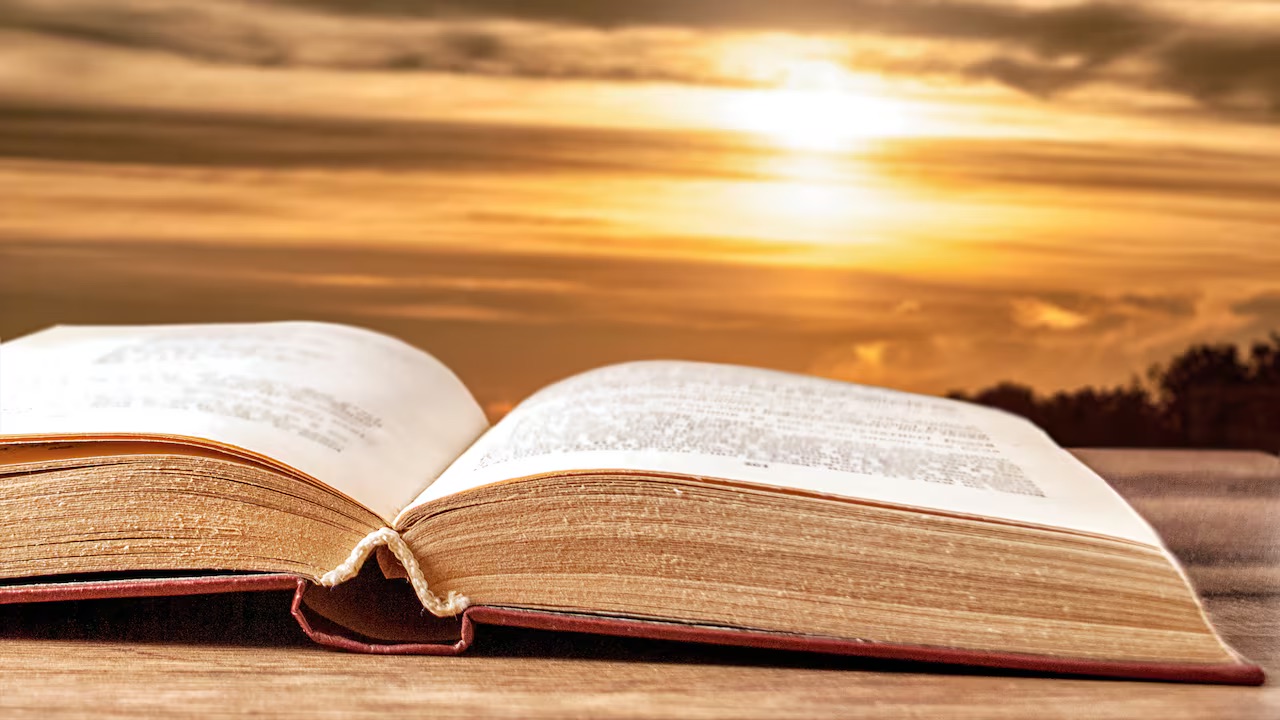 BNXLWXYOERGKTDWDVLHLCRL7CM