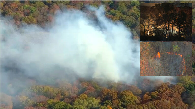 Parques en el Alto Manhattan y El Bronx afectados