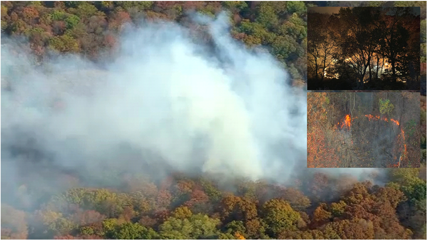 Parques en el Alto Manhattan y El Bronx afectados