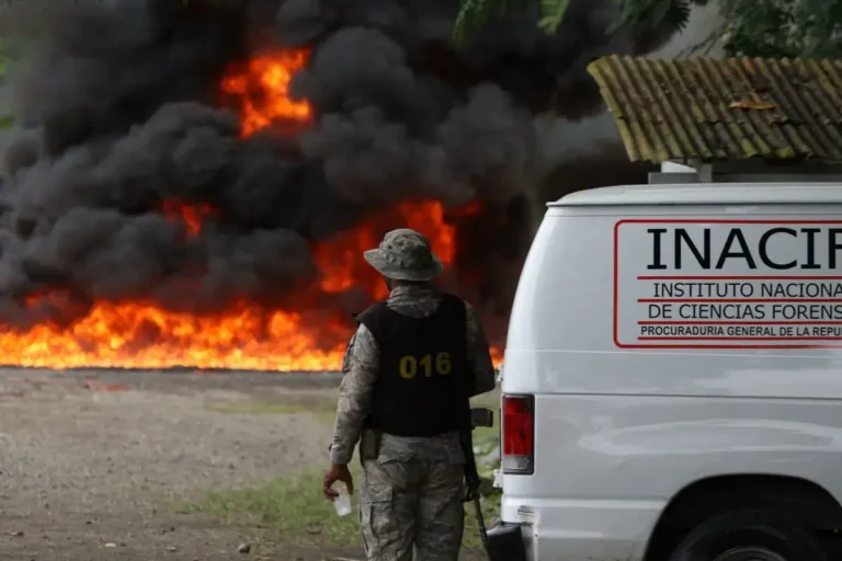Queman-las-98-toneladas-de-cocaina-incautadas-en-Caucedo