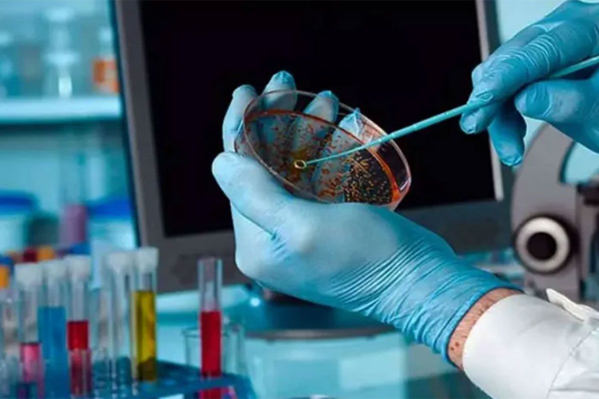 laboratorio786
