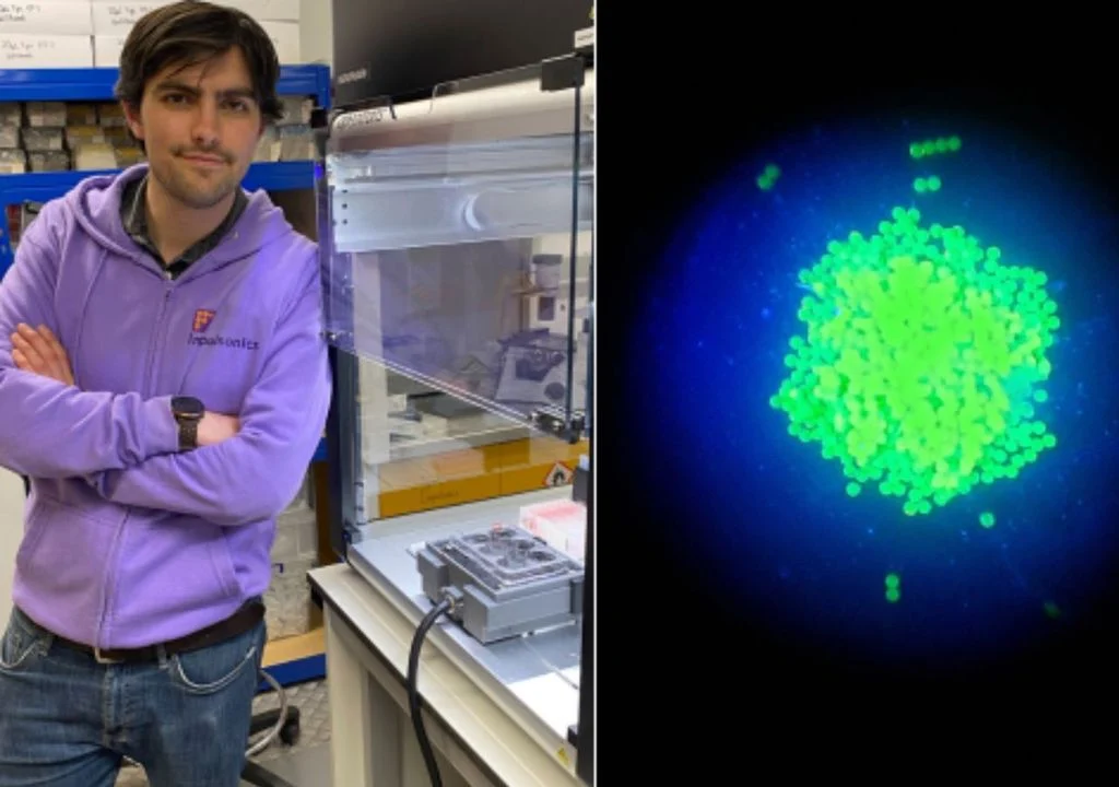 la-nueva-tecnologia-puede-mover-las-celulas-sin-tocarlas-el-poder-de-la-acustica-las-hace-levitar-de-forma-magica-1744049393466_1024