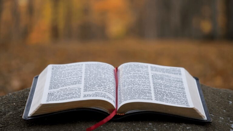 rgrg333333biblia