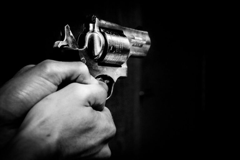 pistola-15102018-pixabay-1024x683