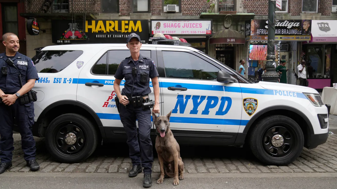 54702483361_1aec67a40c_o