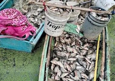 46b5c720-b42c-4c01-a5de-c6adc44e369c