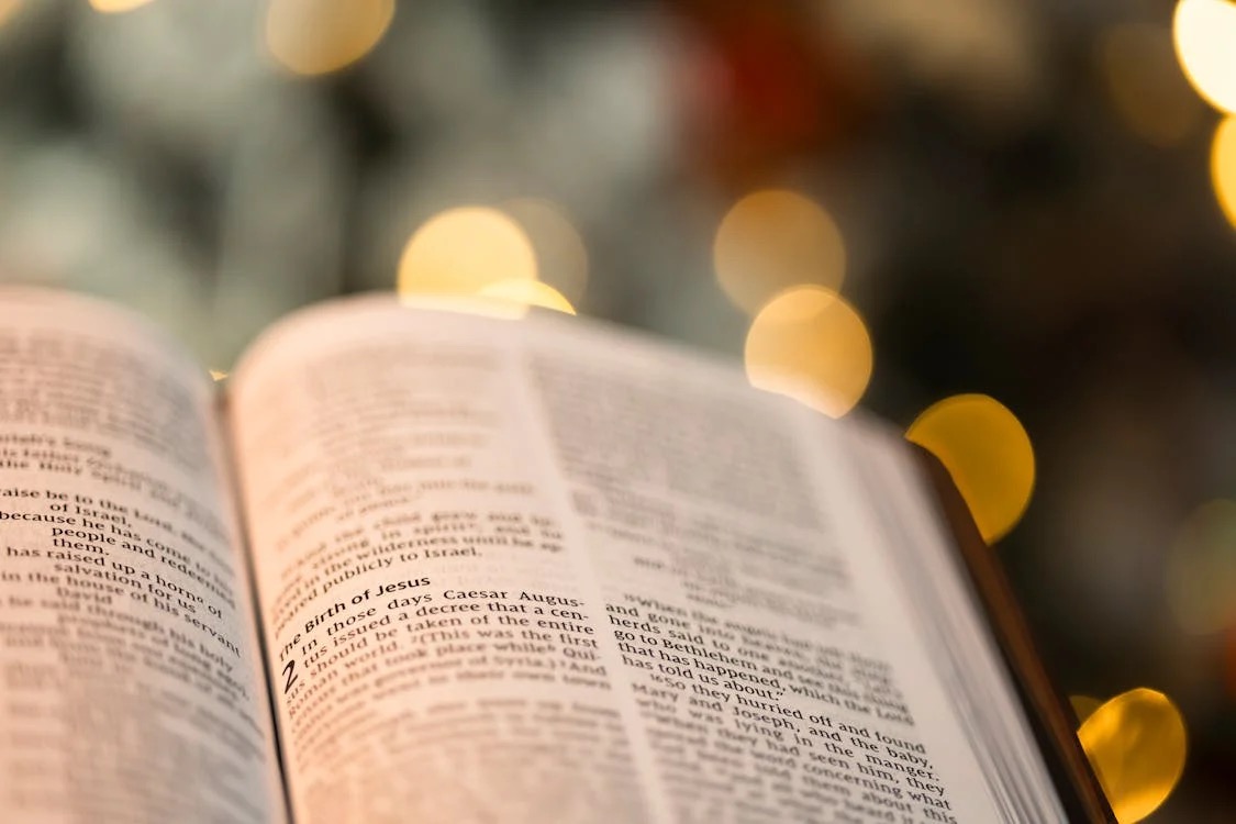 pexels-photo-29756533