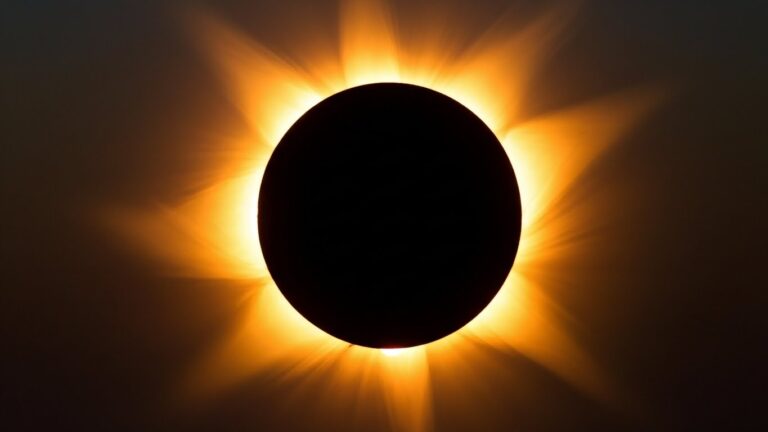 Whisk_0fe99bc3bc7b26198e1499447648b0f5dr