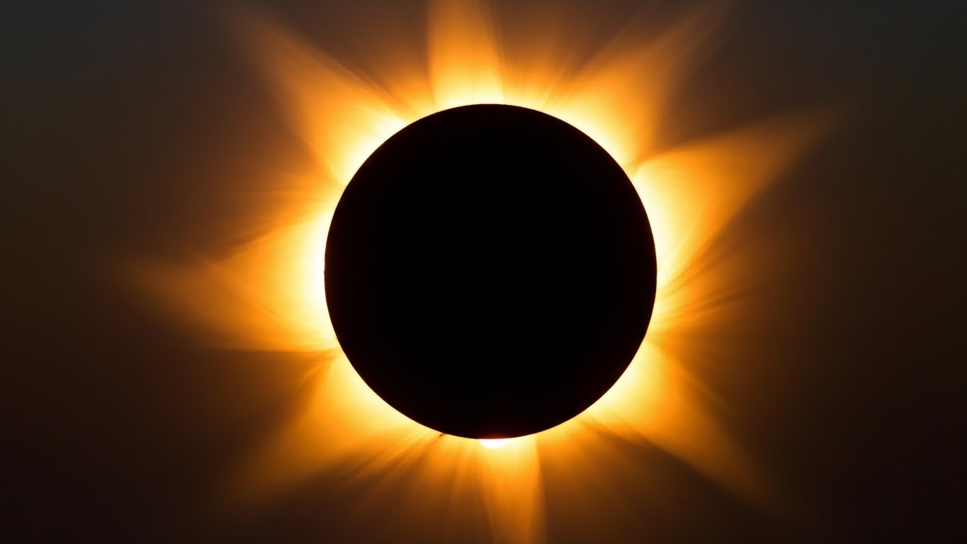 Whisk_0fe99bc3bc7b26198e1499447648b0f5dr