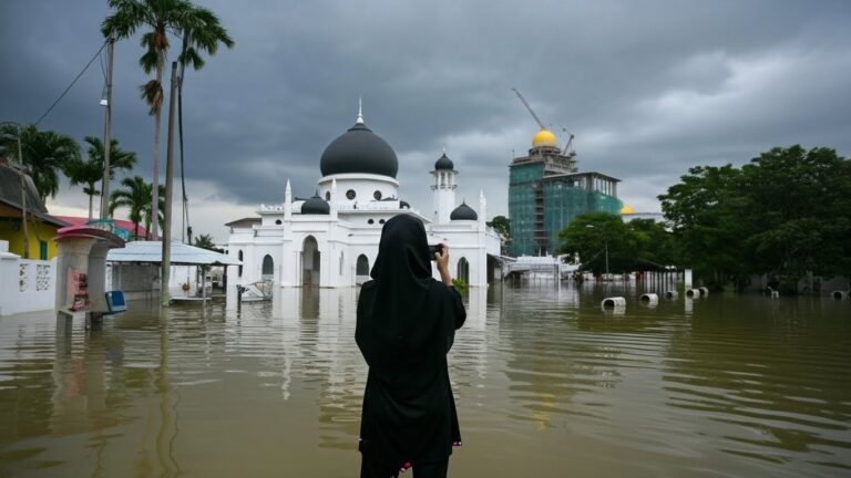 Whisk_176a074dab1f5e482bd4e0bfa764611bdr