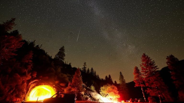 Whisk_21106069d2d3066aede442908df4fa41dr