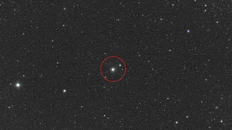 Whisk_89cd578a4b37b9eb9384f05b03564dcfdr