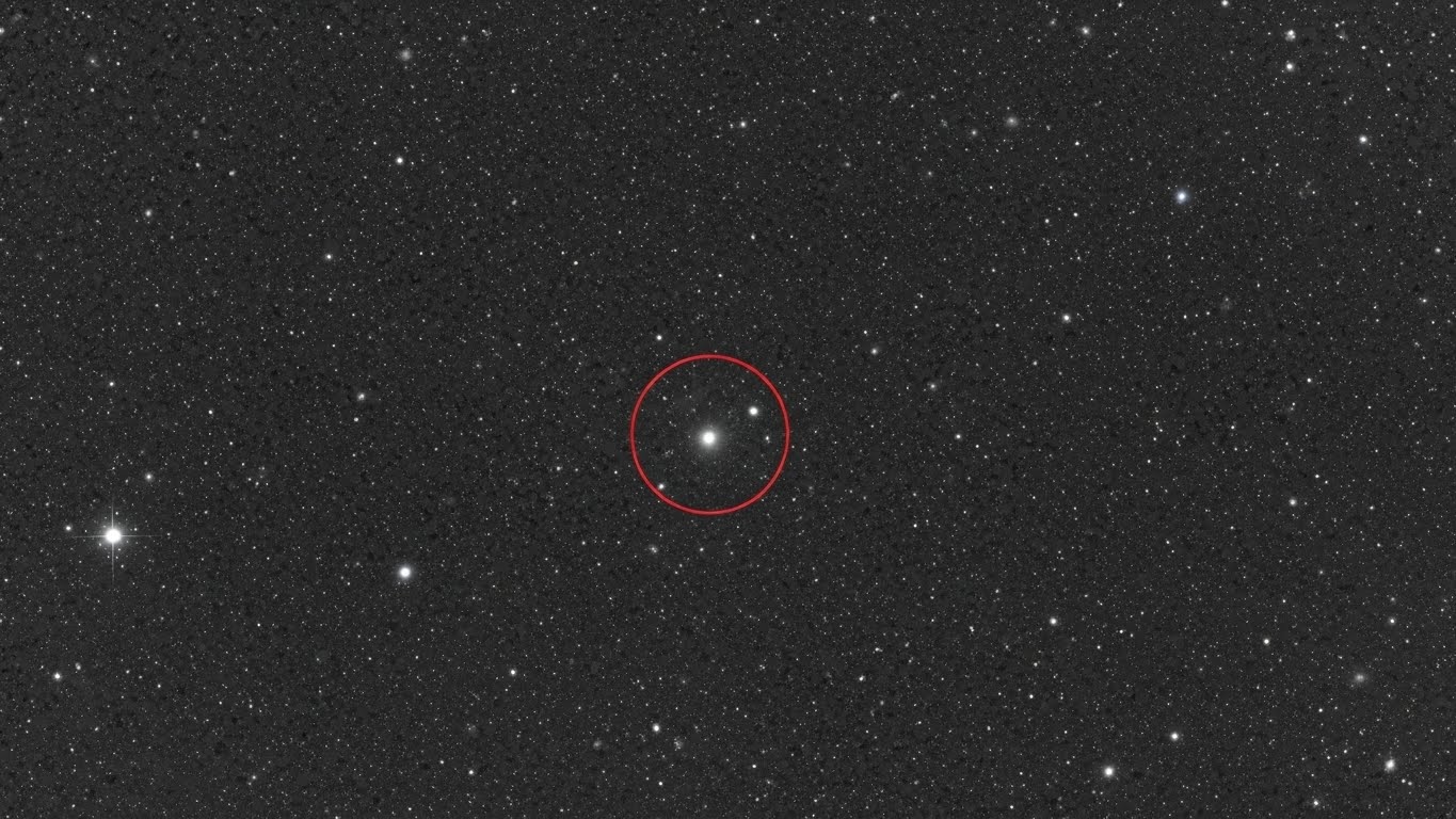 Whisk_89cd578a4b37b9eb9384f05b03564dcfdr