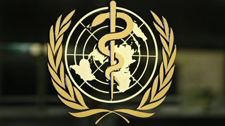 Whisk_aae27f4050911e19f6a463cc32e3b5badr