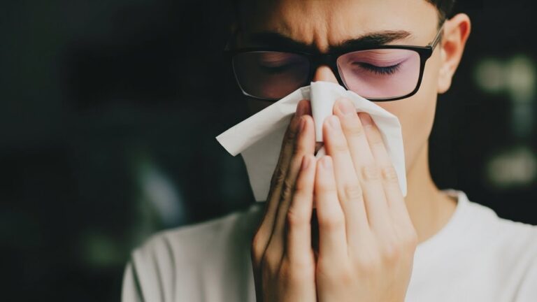 Whisk_de70ce44595677ca485469978a2fcedadr