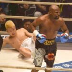 642ddde95d248.r_d.331-163