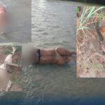 WhatsApp-Image-2026-02-01-at-5.21.41-PM