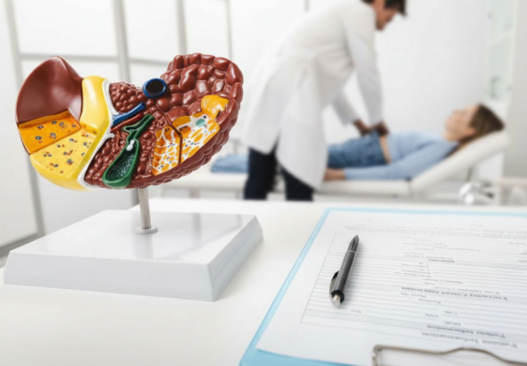 Whisk_091984a0c8cff81bba747209fe269d3bdr