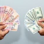 Whisk_22efafb7044320eb59342c093c419080dr