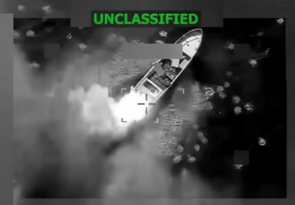 Whisk_59ee8c436854196ac2247d515459816edr