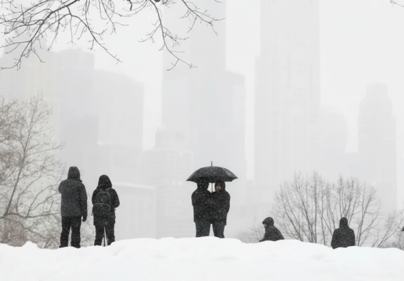 Whisk_72928be86255199890d4eaffbff0d13ddr