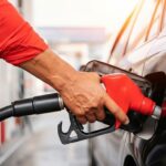 Whisk_b63d3c690dbc7fd87944f591f8c58531dr