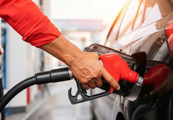 Whisk_b63d3c690dbc7fd87944f591f8c58531dr