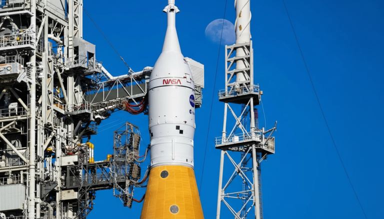 Whisk_fd704bd8c66ae3dbd1d41fcf5401178fdr