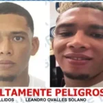 69c3f24118c34.r_d.868-537-8796