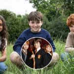 EH_CONTEXTO_2025_05_27_T101202_235_edda6fd097