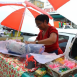 Whisk_0008f70766394fcb80b4512a19032258dr