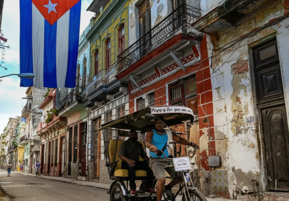 Whisk_0ef26b1d0f9531fb37f43177bb7aa59adr