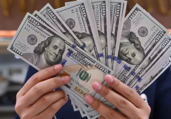 Whisk_1b64c8d7a7dff1e8cae48d205b207ea5dr