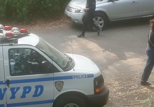 Whisk_3380934ebc89d84932a4852d255069cedr