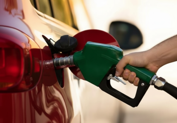 Whisk_5798fa7c139cad09f3b4bc4a1edb8364dr