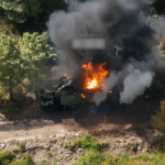 Whisk_659f9980a435129ab7e4003d48de4b48dr