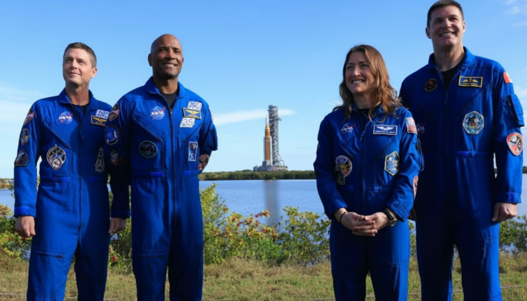 Whisk_704b86afdbeef7c82a54d5c98e11f331dr