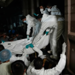 Whisk_79c7bf16f7ec5fc93e94a1174d79d7d3dr