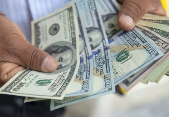 Whisk_8749e986a7be8efa2c34bfb9a7fcb9a3dr