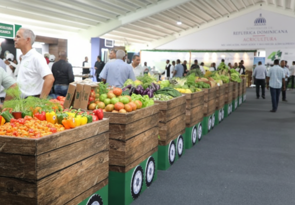 Whisk_c516568c0973b728f8f41393e6f6733ddr