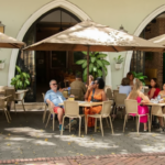 Whisk_d923eef757c2d9fb80c47ce81ece6fc3dr