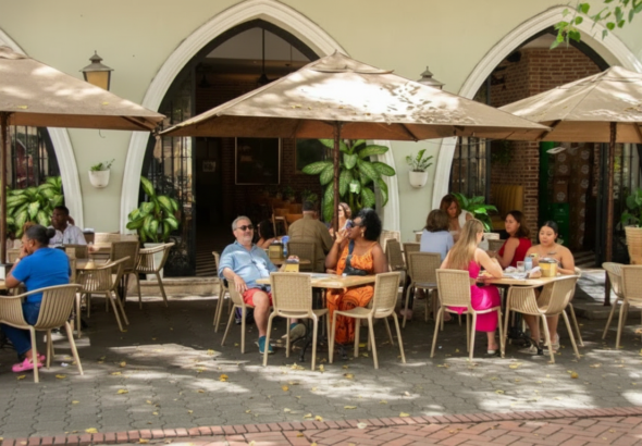 Whisk_d923eef757c2d9fb80c47ce81ece6fc3dr