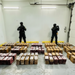 Whisk_d9551e3bbbe8957ae1f4ec5d0da2c4a6dr