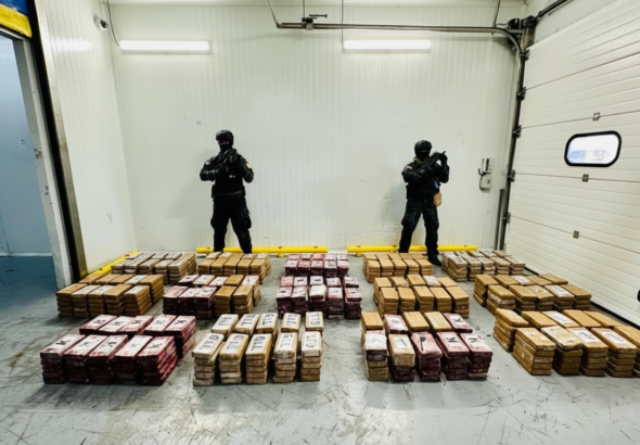 Whisk_d9551e3bbbe8957ae1f4ec5d0da2c4a6dr